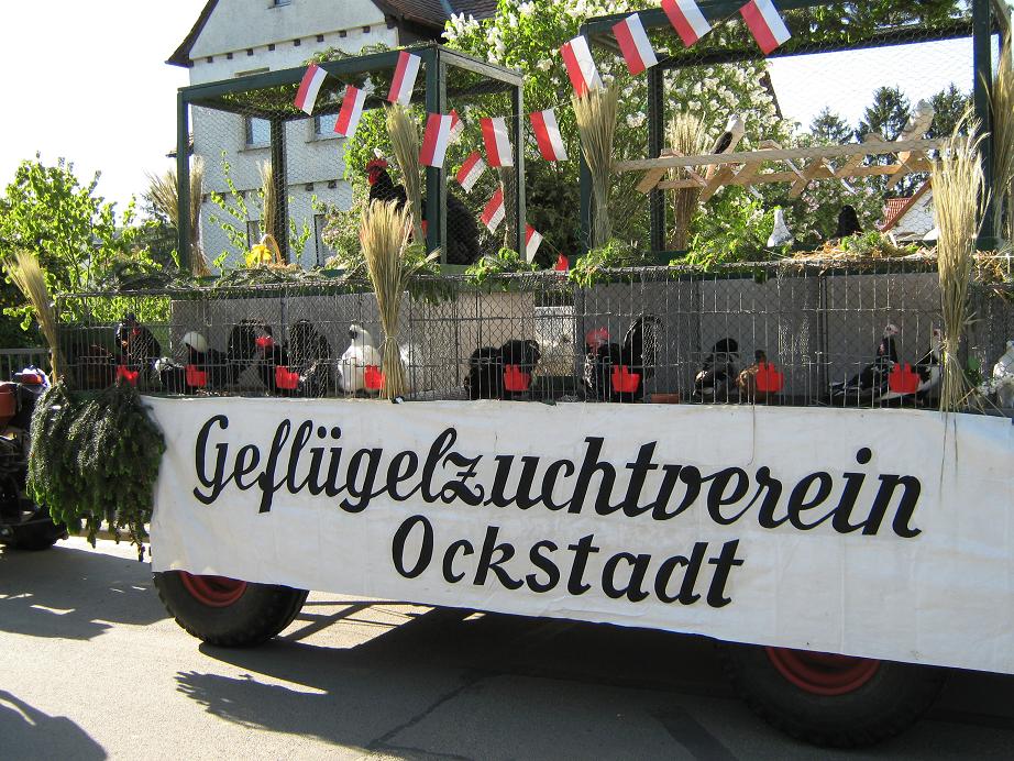 Vereinsleben GZV Ockstadt